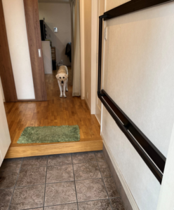 退院して自宅で生活するために必要であった「住宅改修」と「福祉用具の活用」